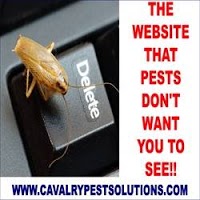 Cavalry Pest Solutions 374932 Image 0